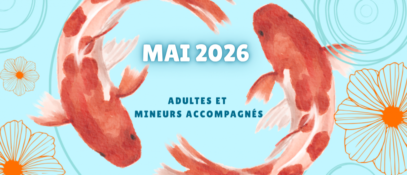Voici le programme des animations et projets d&rsquo;habitants pour adultes et mineurs accompagnés. Pour plus d&rsquo;infos: 02 98 86 13 11