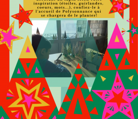 Venez planter un sapin à Poly aux heures d’ouverture de l’accueil pour une déco de Noël pas comme les autres mais avec les autres!!!