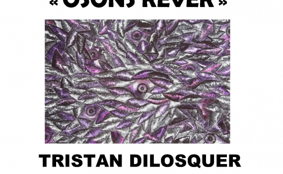 EXPOSITION de TRISTAN DILOSQUER « OSONS REVER » du 1er au 28 février : Rencontre de l ‘artiste le 22 février à 18h30 à Polysonnance