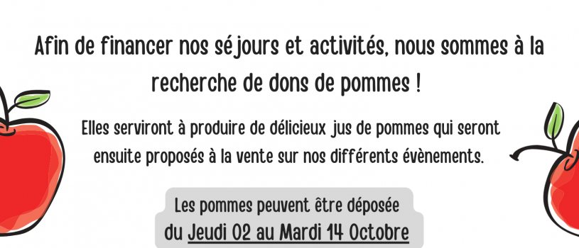 Récolte de Pommes