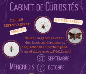Atelier créatif pour les enfants accompagnés de leurs parents (ou le contraire!!) mercredi 30 septembre, 7 et 14 octobre de 14h à 17h. Gratuit et sans inscription! Info: 02 98 86 13 11