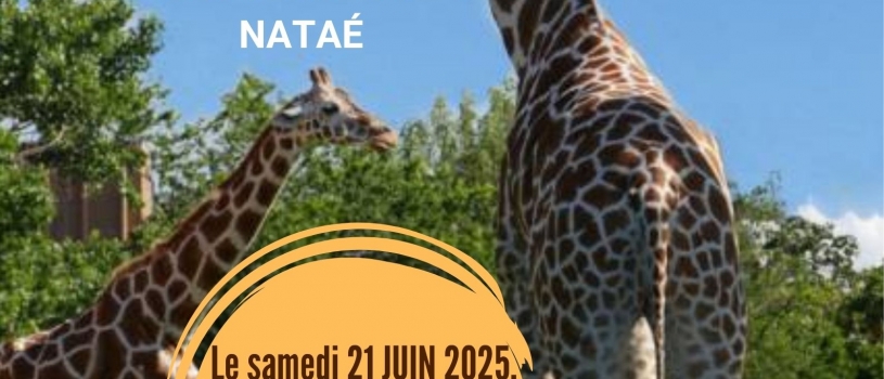 Prochaine sortie conviviale avec Polysonnance :